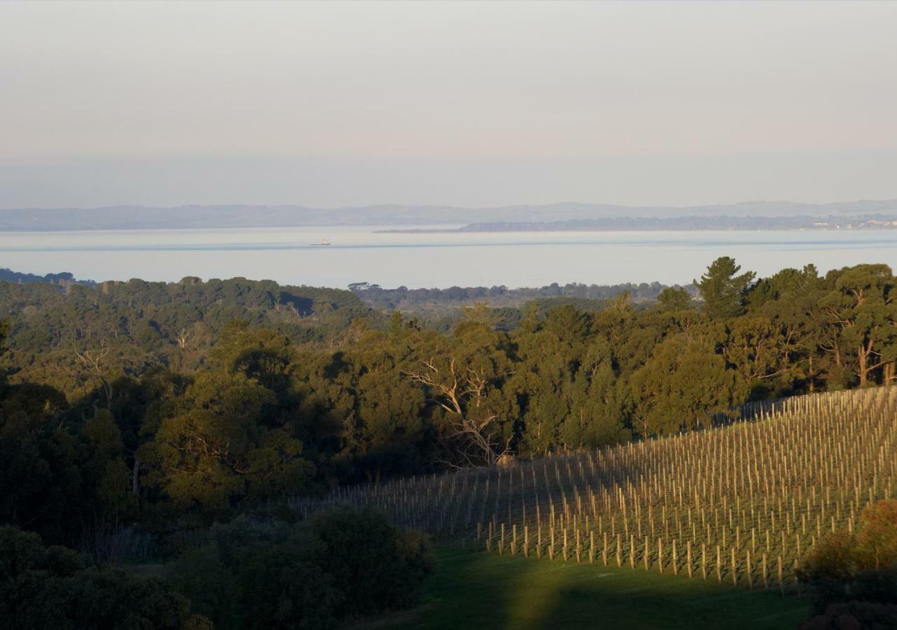红山南 Port Phillip Estate酒店 外观 照片