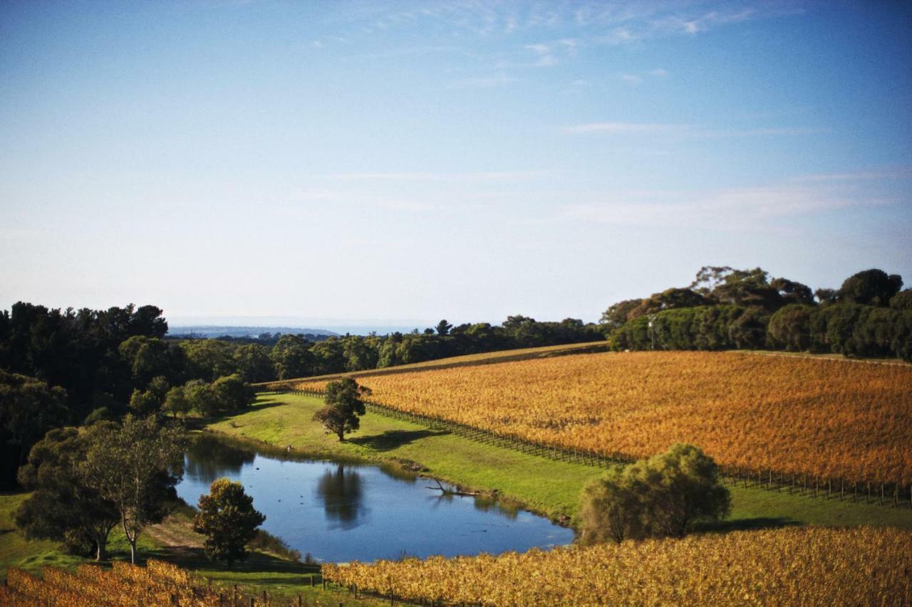 红山南 Port Phillip Estate酒店 外观 照片
